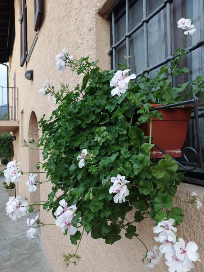 B&B Ronco Degli Ulivi Iseo Exterior photo